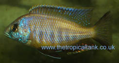 Picture of Picture of