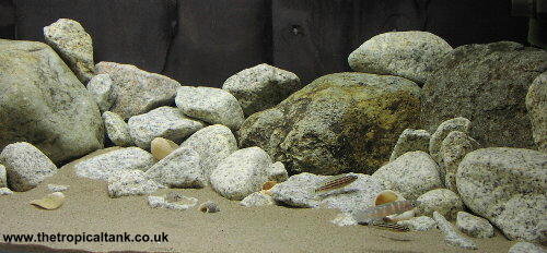 type of rock for a tanganyikan setup  Aquarium fish tank, Aquarium sand, Fish  aquarium decorations